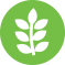 eco Icon